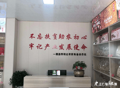 
“百名记者走下层·小康生活我打卡”大型主题宣传报道运动第十四站走进瑞昌|开云电竞中国(图1)