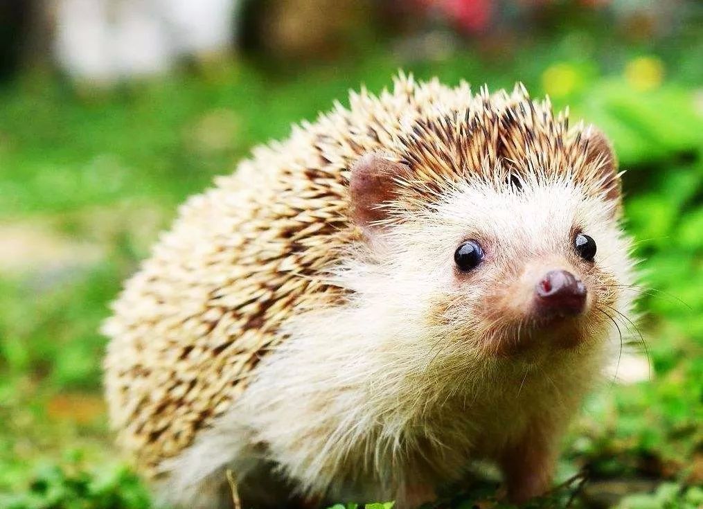 开云电竞官方网站