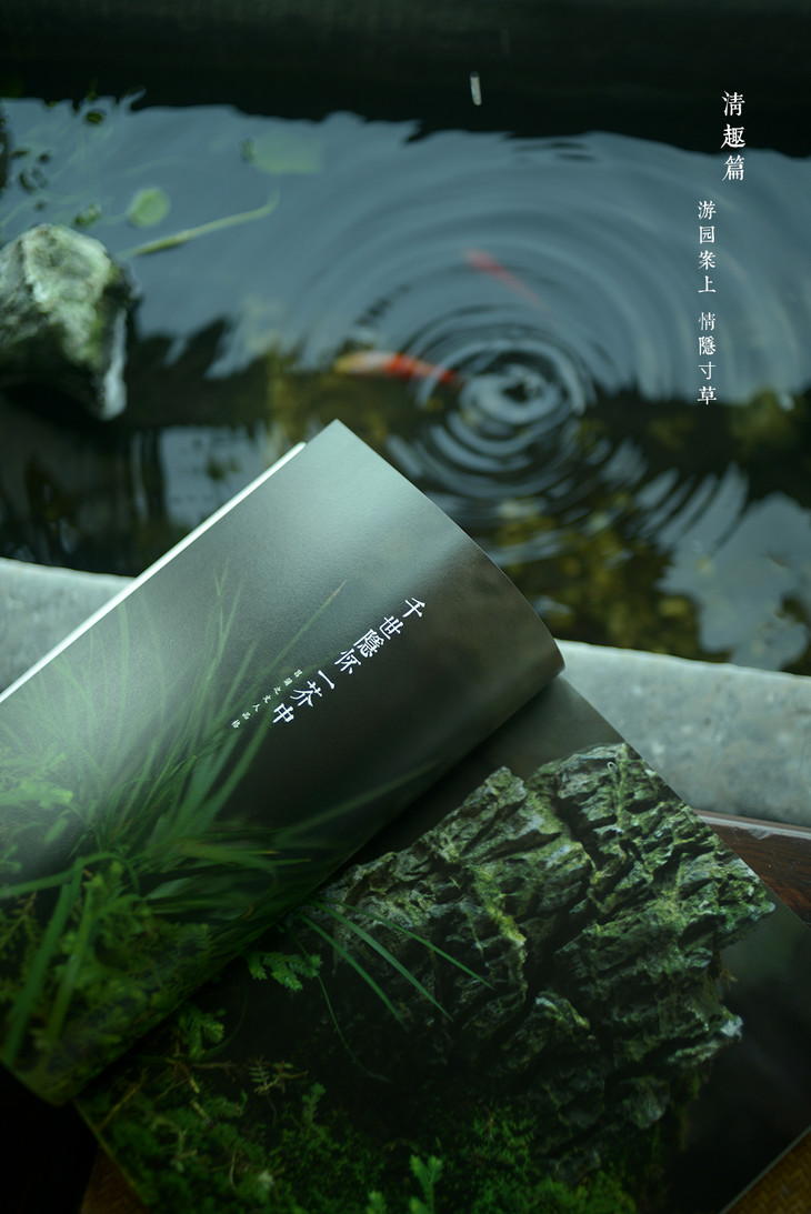 武磊锋线竞争压力增大 西人一大射手伤愈归队-开云电竞(图1) 开云电竞官方网站