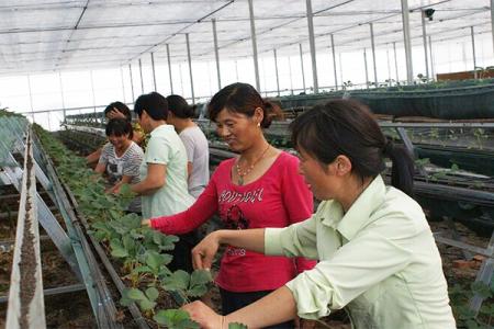 比赛结束前16秒 漫天嘘声中 贝尔差几厘米就绝杀!【开云电竞官方网站】(图3) 开云电竞中国