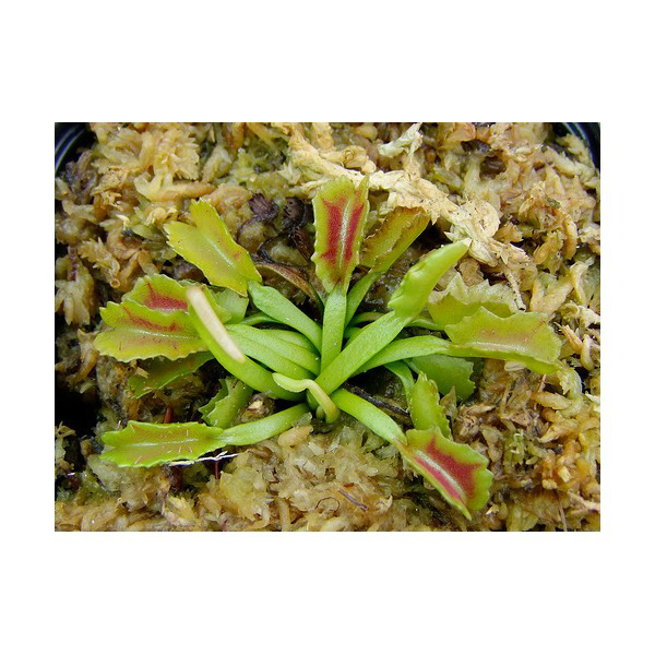 开云电竞官方网站