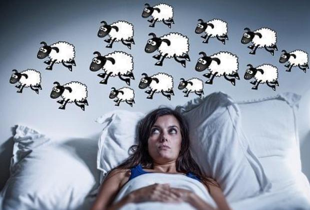 开云电竞官方网站