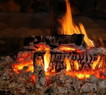 开云电竞官方网站