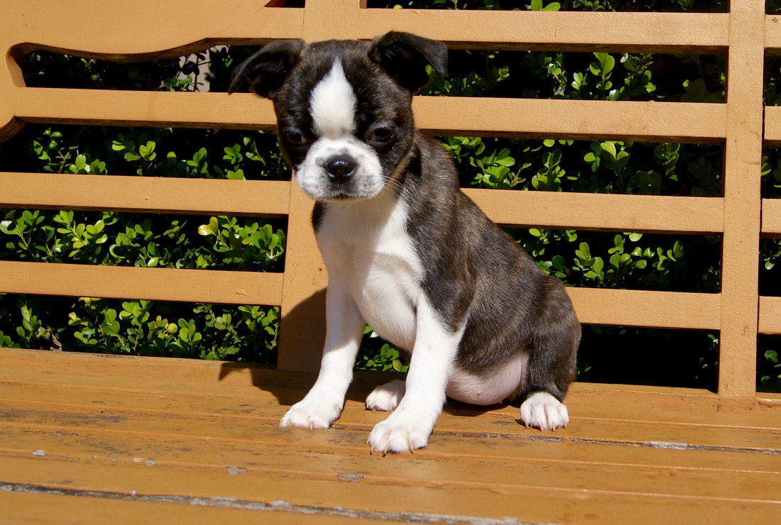 开云电竞官方网站