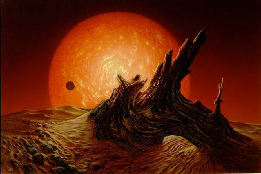 开云电竞官方网站