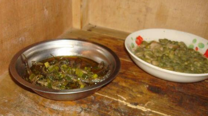 开云电竞官方网站